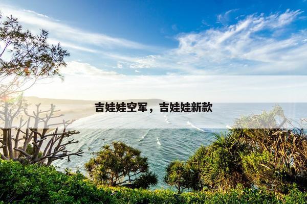 吉娃娃空军，吉娃娃新款
