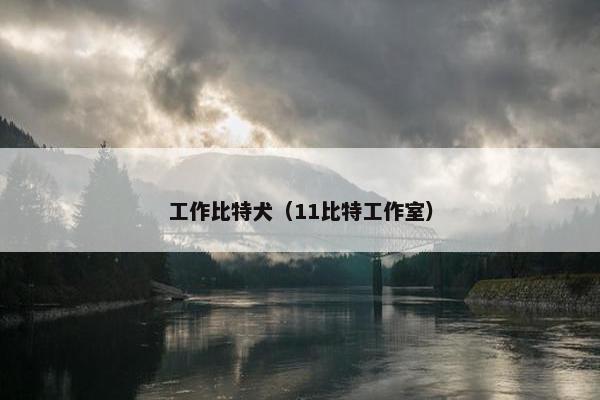 工作比特犬（11比特工作室）