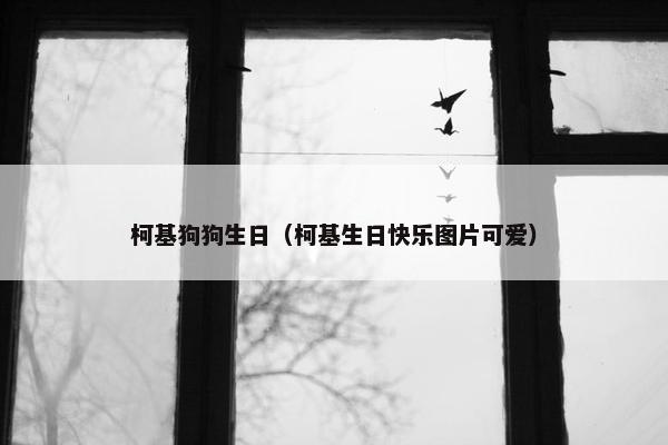 柯基狗狗生日（柯基生日快乐图片可爱）