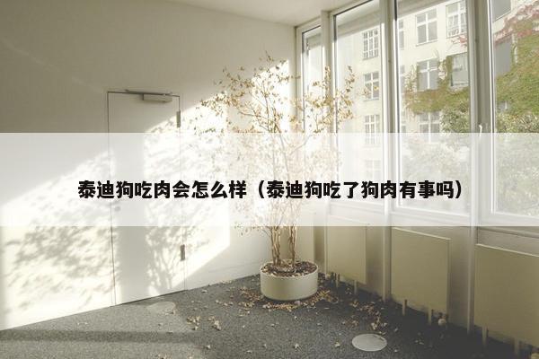泰迪狗吃肉会怎么样（泰迪狗吃了狗肉有事吗）