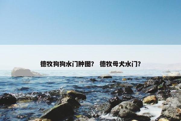 德牧狗狗水门肿图？ 德牧母犬水门？