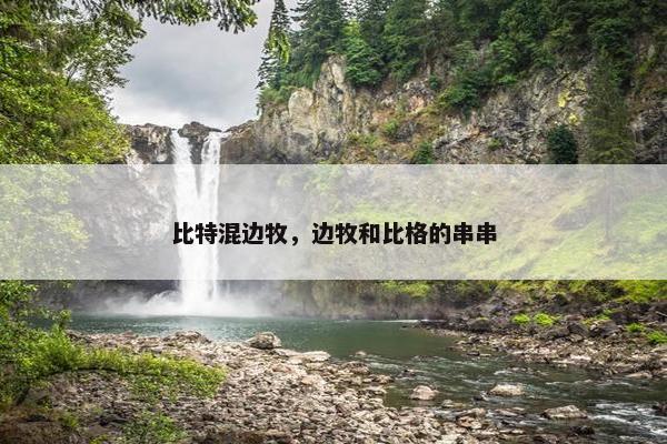 比特混边牧，边牧和比格的串串