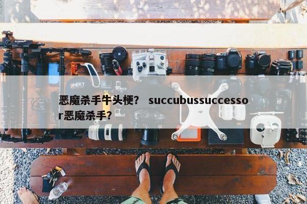 恶魔杀手牛头梗？ succubussuccessor恶魔杀手？