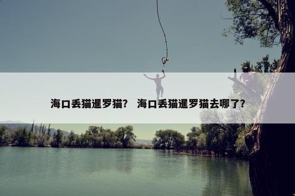 海口丢猫暹罗猫？ 海口丢猫暹罗猫去哪了？
