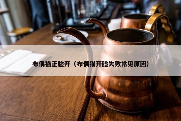 布偶猫正脸开（布偶猫开脸失败常见原因）