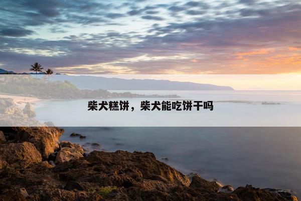 柴犬糕饼，柴犬能吃饼干吗
