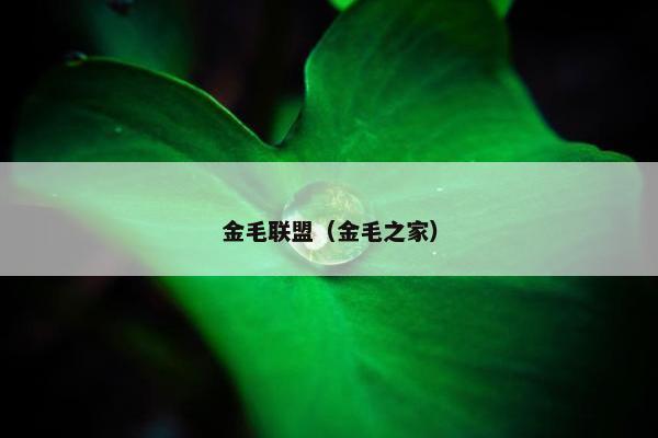金毛联盟（金毛之家）