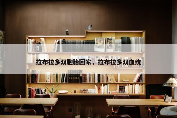 拉布拉多双胞胎回家，拉布拉多双血统