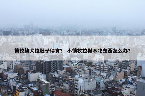 德牧幼犬拉肚子停食？ 小德牧拉稀不吃东西怎么办？