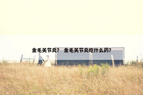 金毛关节炎？ 金毛关节炎吃什么药？
