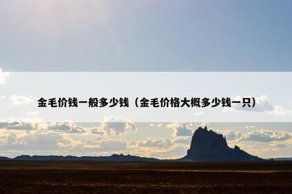 金毛价钱一般多少钱（金毛价格大概多少钱一只）