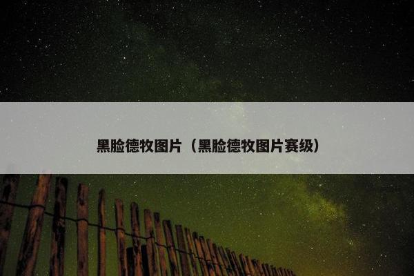 黑脸德牧图片（黑脸德牧图片赛级）