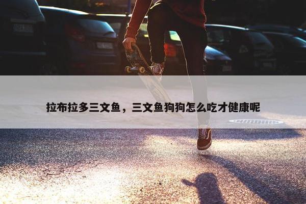 拉布拉多三文鱼，三文鱼狗狗怎么吃才健康呢