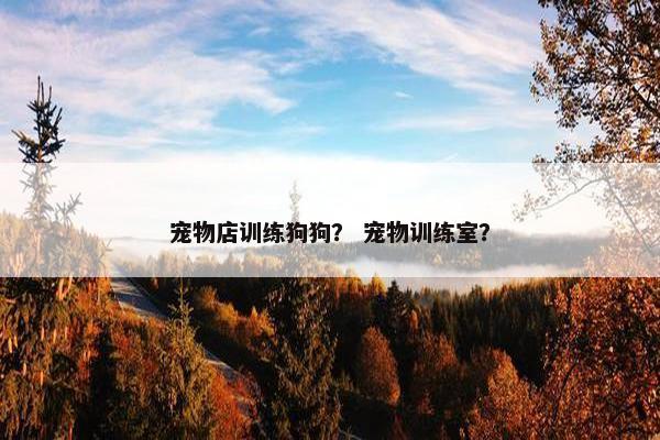 宠物店训练狗狗？ 宠物训练室？