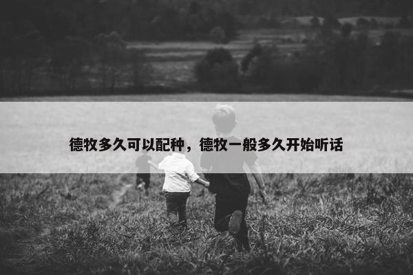 德牧多久可以配种，德牧一般多久开始听话
