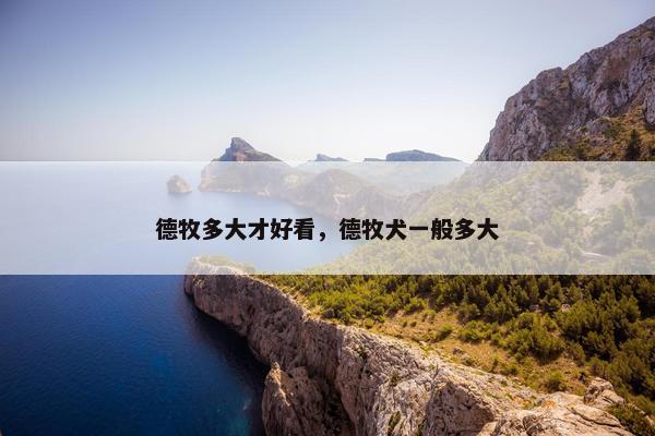 德牧多大才好看，德牧犬一般多大