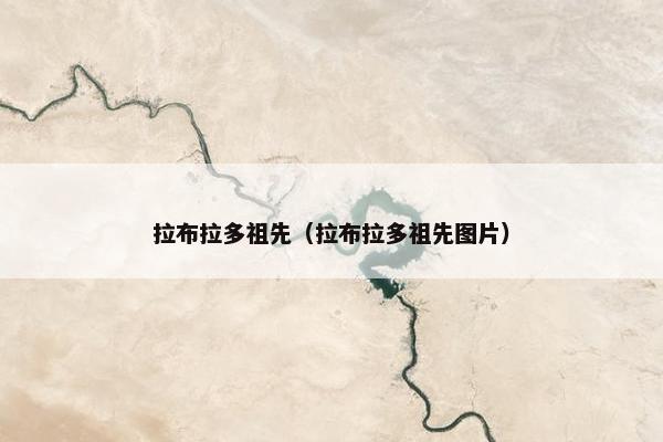 拉布拉多祖先（拉布拉多祖先图片）